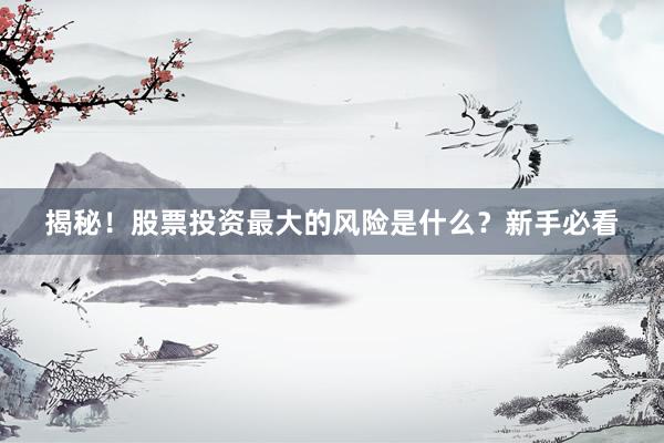 揭秘！股票投资最大的风险是什么？新手必看