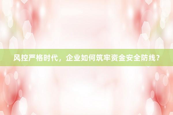 风控严格时代，企业如何筑牢资金安全防线？