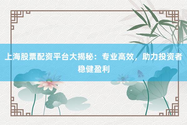 上海股票配资平台大揭秘：专业高效，助力投资者稳健盈利