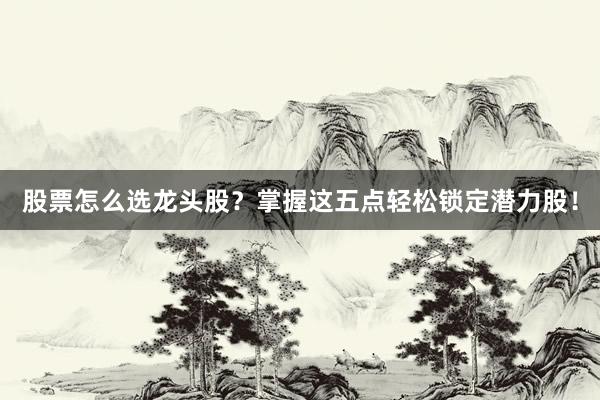股票怎么选龙头股？掌握这五点轻松锁定潜力股！