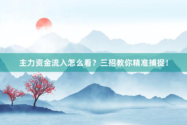 主力资金流入怎么看？三招教你精准捕捉！