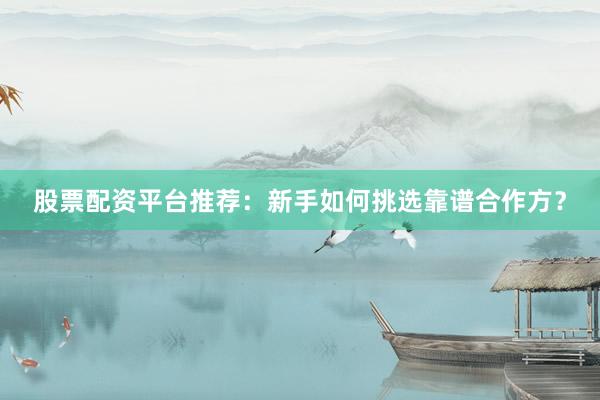 股票配资平台推荐：新手如何挑选靠谱合作方？
